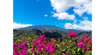 Casa en Boquete con hermosas vistas, Jaramillo Centro