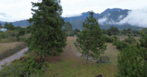 Lotes con financimiento privado en Volcán