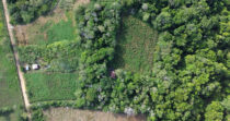 TERRENO DE 9HA EN BRAZOS DE COCHEA+IDEAL PARA PRODUCCIÓN+BUEN CLIMA