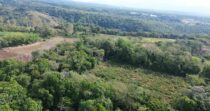 TERRENO DE 9HA EN BRAZOS DE COCHEA+IDEAL PARA PRODUCCIÓN+BUEN CLIMA