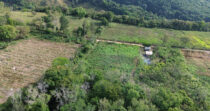 TERRENO DE 9HA EN BRAZOS DE COCHEA+IDEAL PARA PRODUCCIÓN+BUEN CLIMA