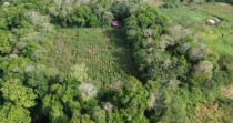 TERRENO DE 9HA EN BRAZOS DE COCHEA+IDEAL PARA PRODUCCIÓN+BUEN CLIMA
