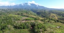 TERRENO DE 9HA EN BRAZOS DE COCHEA+IDEAL PARA PRODUCCIÓN+BUEN CLIMA