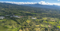 Finca ideal para invernadero en Potrerillos Arriba – Los mameyes