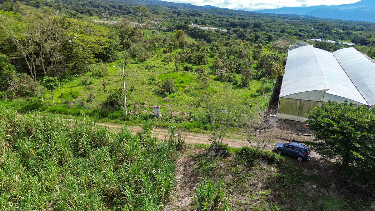 Finca ideal para invernadero en Potrerillos Arriba – Los mameyes Finca ideal para invernadero en Potrerillos Arriba – Los mameyes