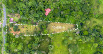 BONGO-FINCA DE 10,655.73M + PRODUCTIVA + BIEN UBICADA