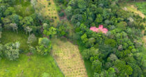BONGO-FINCA DE 10,655.73M + PRODUCTIVA + BIEN UBICADA