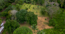 BONGO-FINCA DE 10,655.73M + PRODUCTIVA + BIEN UBICADA