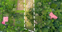 BONGO-FINCA DE 8,324.33M + PRODUCTIVA + BIEN UBICADA