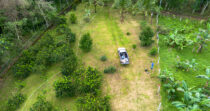 BONGO-FINCA DE 8,324.33M + PRODUCTIVA + BIEN UBICADA