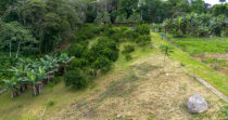BONGO-FINCA DE 8,324.33M + PRODUCTIVA + BIEN UBICADA