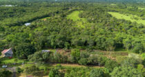 POTRERILLOS ARRIBA+FINCA BIEN UBICADA+ACCESO A TODOS LOS SERVICIOS