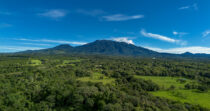 POTRERILLOS ARRIBA+FINCA BIEN UBICADA+ACCESO A TODOS LOS SERVICIOS