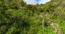 VOLCÁN BARÚ, PASO ANCHO + FINCA DE 72 HECTÁREAS + SITIO PRIVILEGIADO