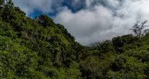 VOLCÁN BARÚ, PASO ANCHO + FINCA DE 72 HECTÁREAS + SITIO PRIVILEGIADO
