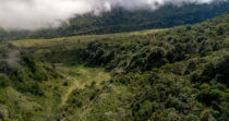 VOLCÁN BARÚ, PASO ANCHO + FINCA DE 72 HECTÁREAS + SITIO PRIVILEGIADO