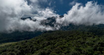 VOLCÁN BARÚ, PASO ANCHO + FINCA DE 72 HECTÁREAS + SITIO PRIVILEGIADO
