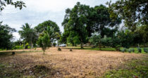 BONGO-FINCA DE 10,655.73M + PRODUCTIVA + BIEN UBICADA