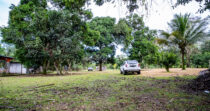 BONGO-FINCA DE 10,655.73M + PRODUCTIVA + BIEN UBICADA