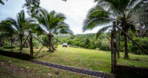 BONGO-FINCA DE 8,324.33M + PRODUCTIVA + BIEN UBICADA