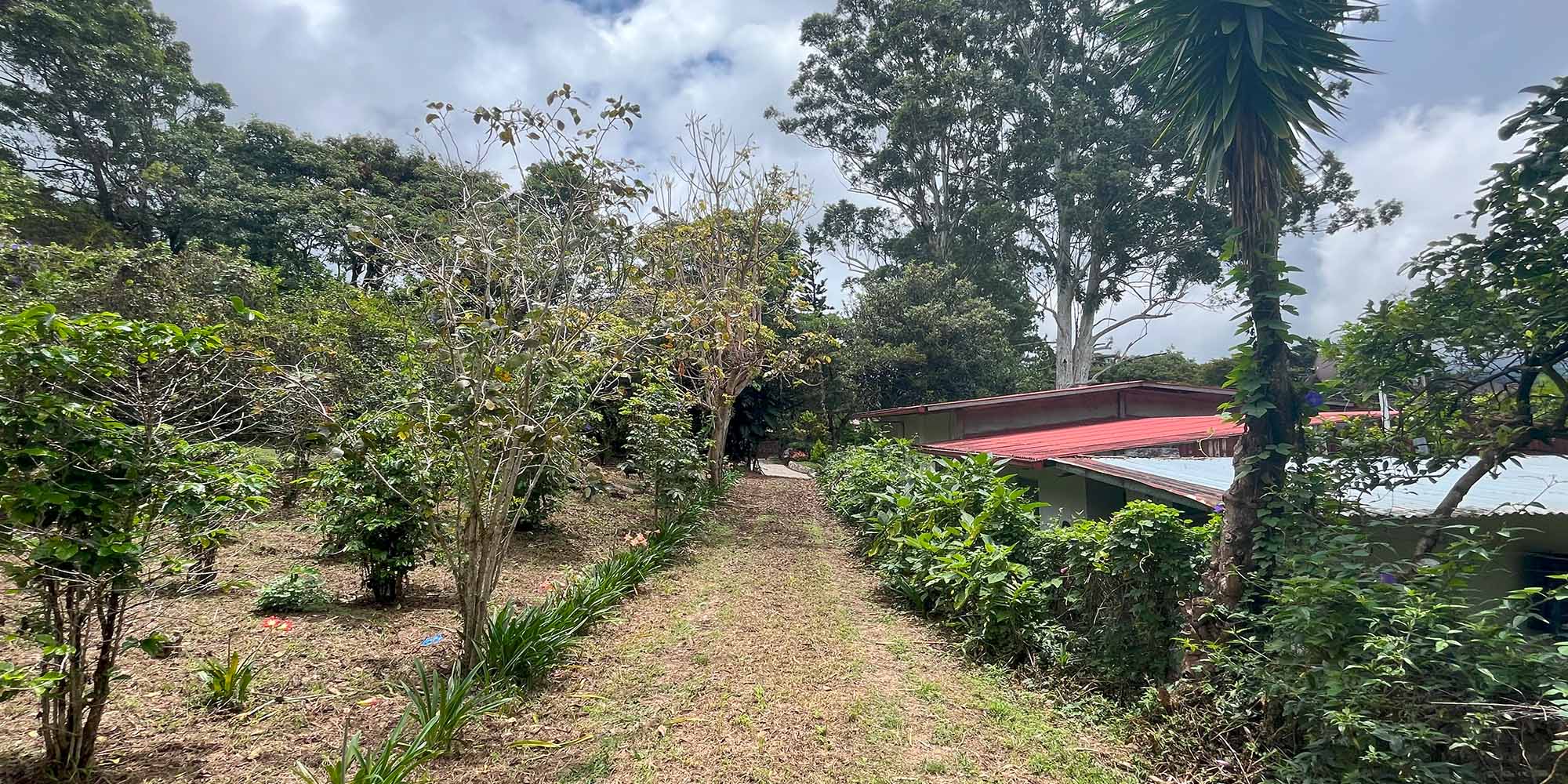 Lote en Volcancito Boquete de 2023 m2 Lote en Volcancito Boquete de 2023 m2