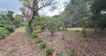 Lote en Volcancito Boquete de 2023 m2
