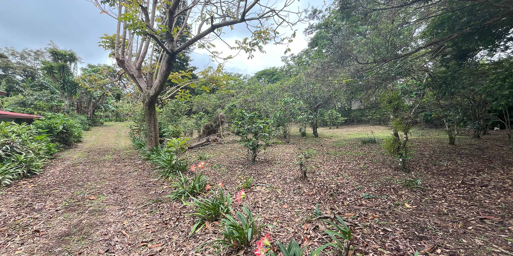 Lote en Volcancito Boquete de 2023 m2 Lote en Volcancito Boquete de 2023 m2