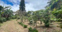 Lote en Volcancito Boquete de 2023 m2