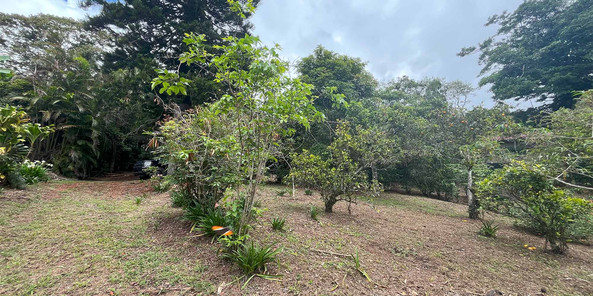 Lote en Volcancito Boquete de 2023 m2 Lote en Volcancito Boquete de 2023 m2