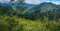 Terreno para desarrollo turístico en Boquete