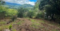 Terreno para desarrollo turístico en Boquete
