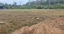 TERRENO DE 9HA EN BRAZOS DE COCHEA+IDEAL PARA PRODUCCIÓN+BUEN CLIMA