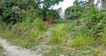 POTRERILLOS ARRIBA, TERRENO DE 1.5HA, TITULADO + ACCESO A TODOS LOS SERVICIOS+BUEN CLIMA
