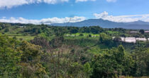 Finca ideal para invernadero en Potrerillos Arriba – Los mameyes