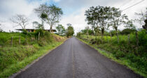 CORDILLERA FINCA DE 2HA PRECIO DE REMATE + BUEN CLIMA + BUENA TIERRA + BUENA UBICACIÓN