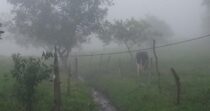 OPORTUNIDAD DE COMPRA-BUENA VISTA-SAN VICENTE