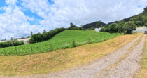 Finca en Boquete cercano a Altieri