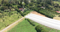 Finca en Boquete cercano a Altieri