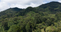 Finca en Boquete cercano a Altieri