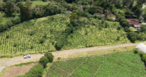 Finca en Boquete cercano a Altieri