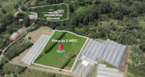 Finca en Boquete cercano a Altieri