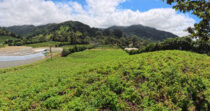 Finca en Boquete cercano a Altieri