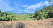 Terreno a 3 min del Pueblo – Jaramillo Centro